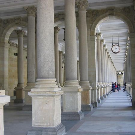 Villa Rosa Karlovy Vary Exteriér fotografie